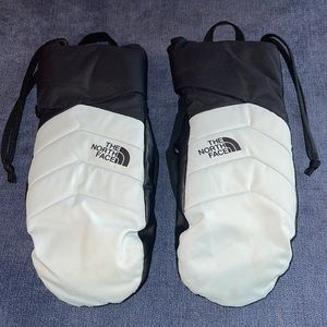 The North Face Blue Gore-Tex Mittens